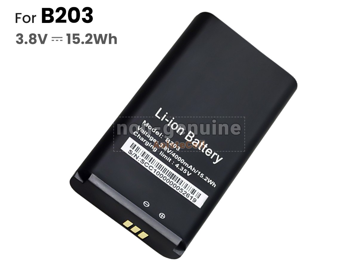B203
