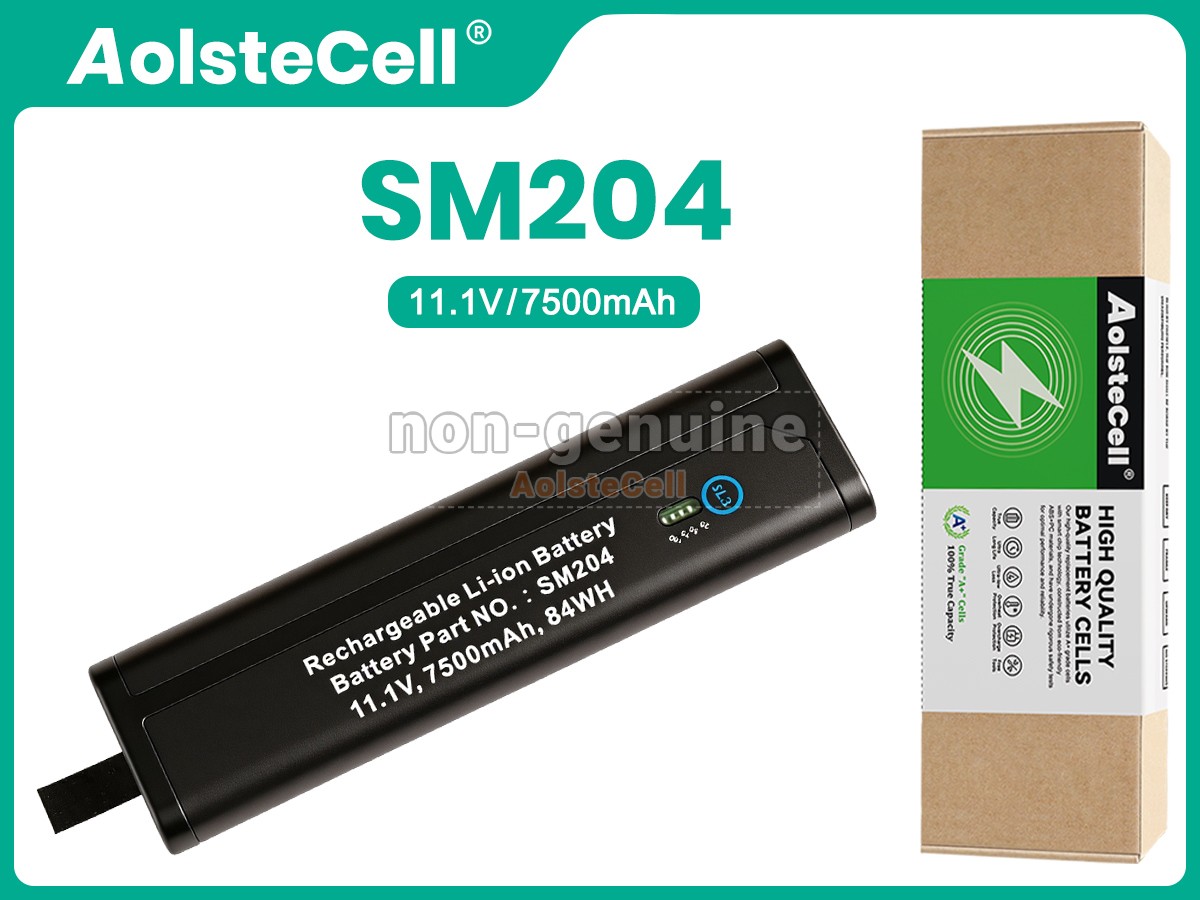 SM204