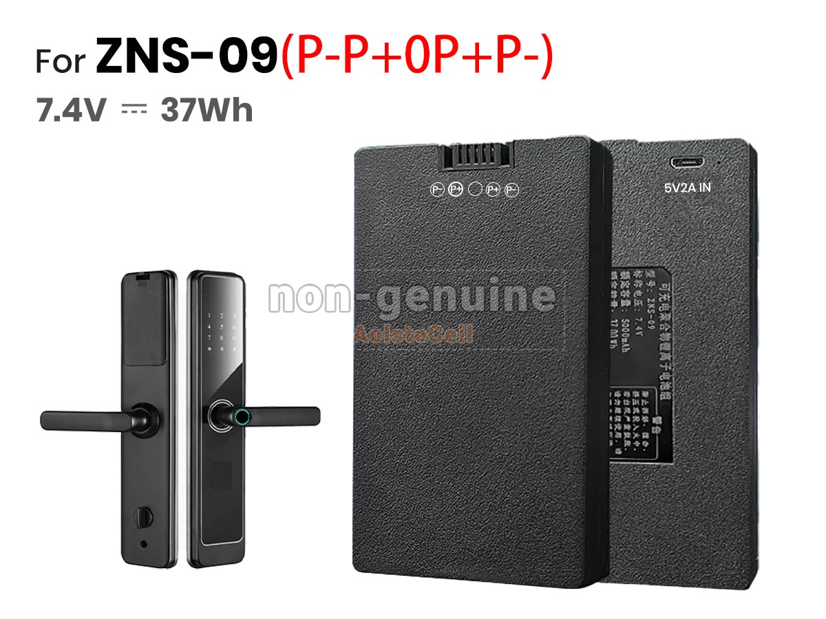 ZNS-09