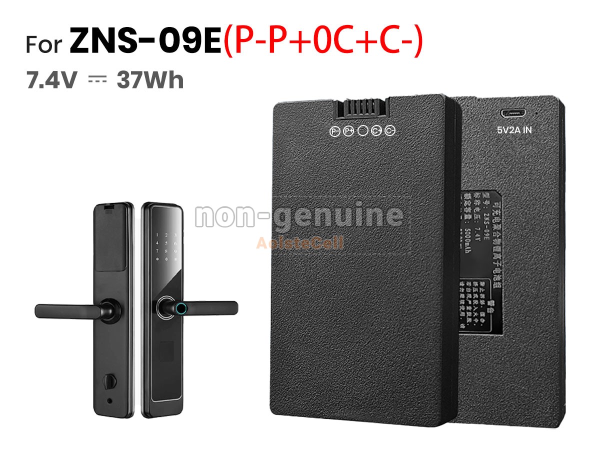 ZNS-09E