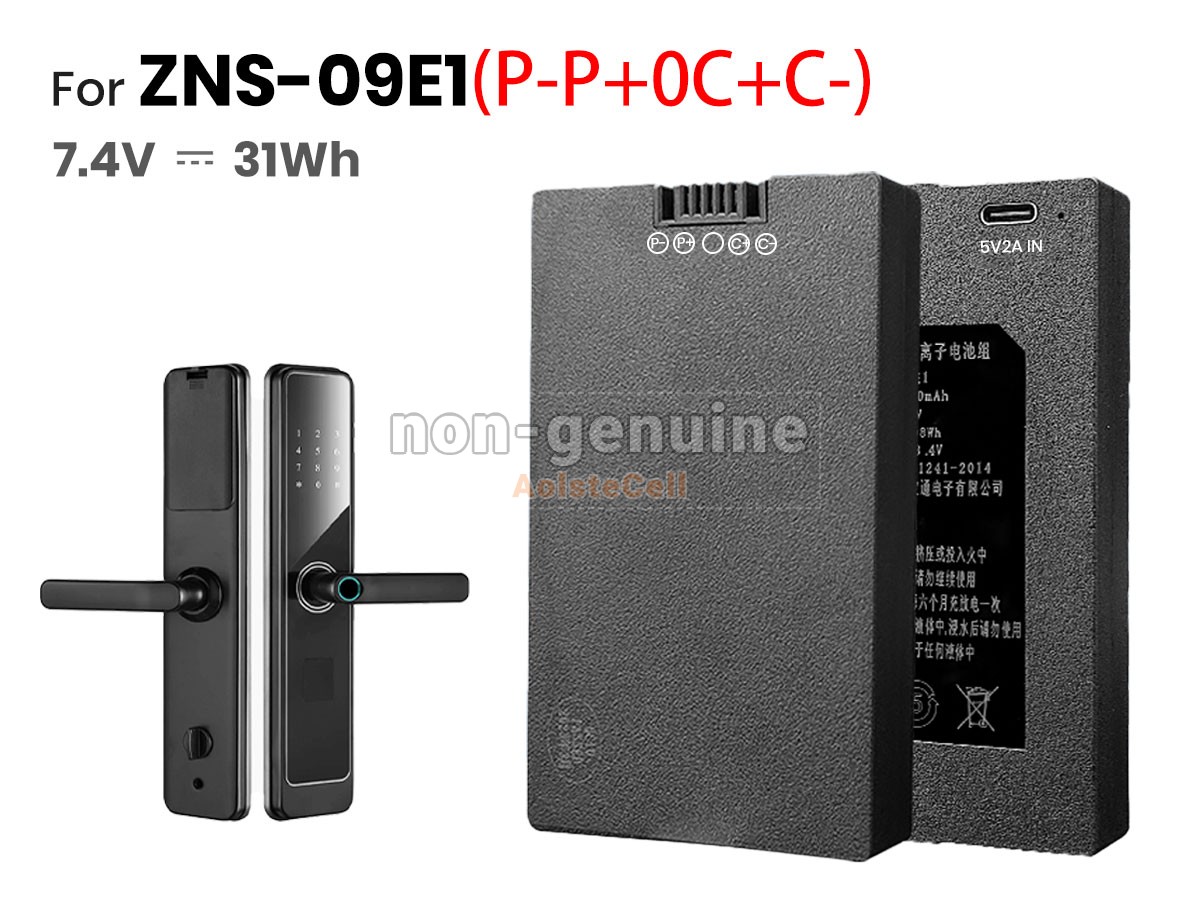 ZNS-09E1