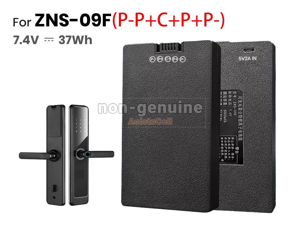 ZNS-09F