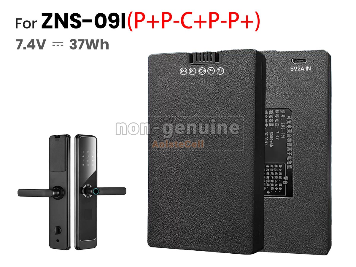 ZNS-09I