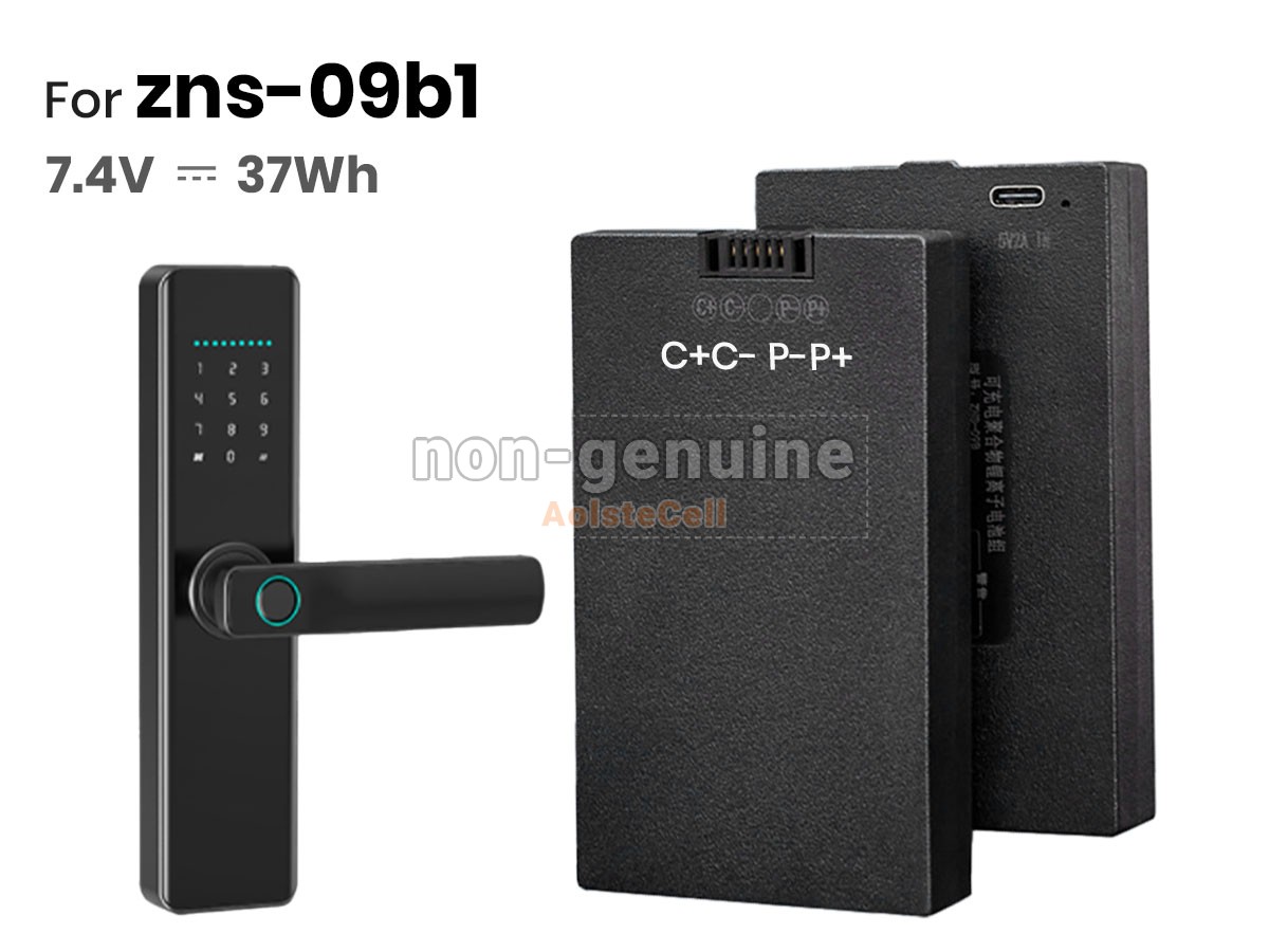 ZNS-09B1