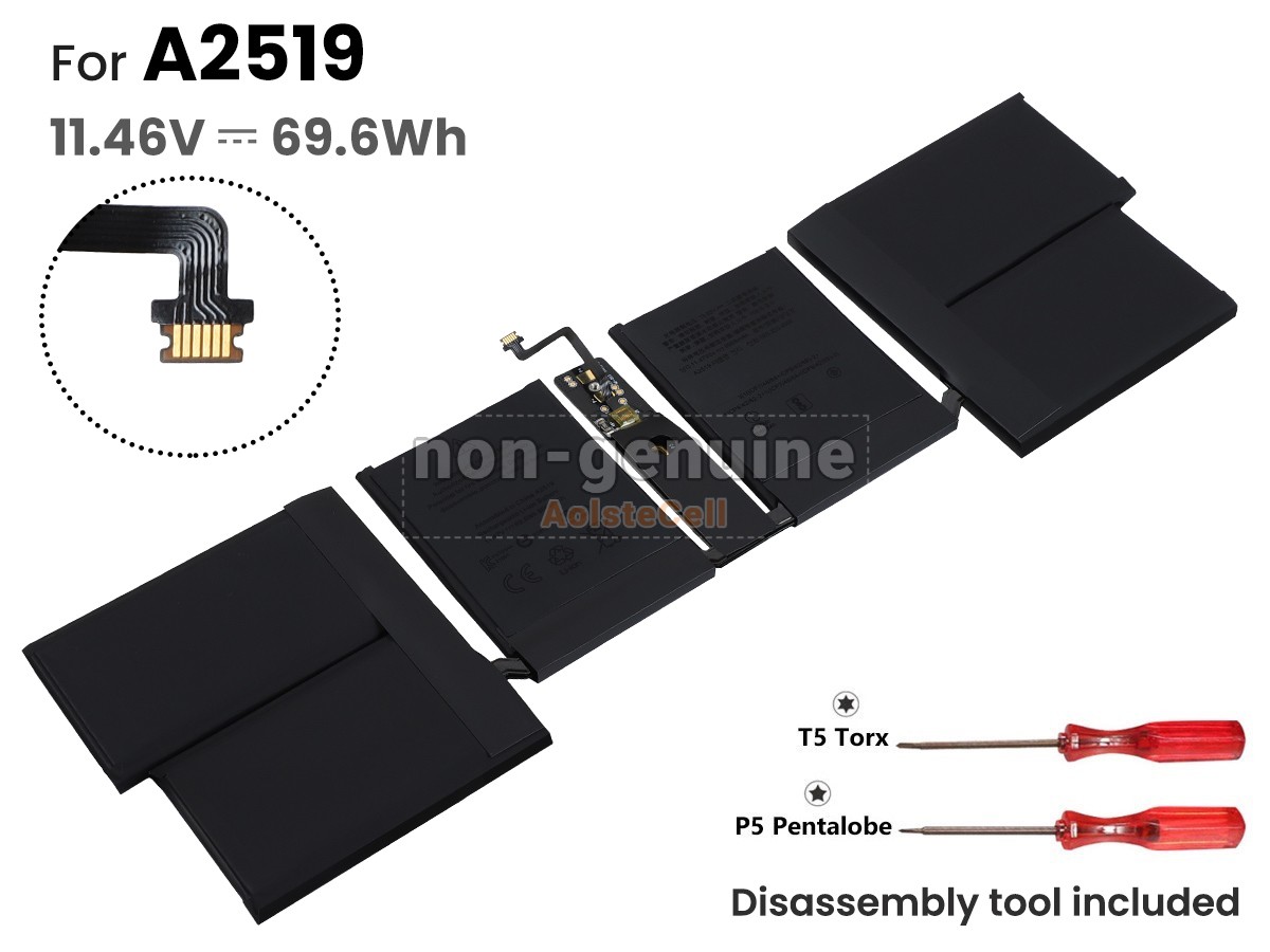 A2519