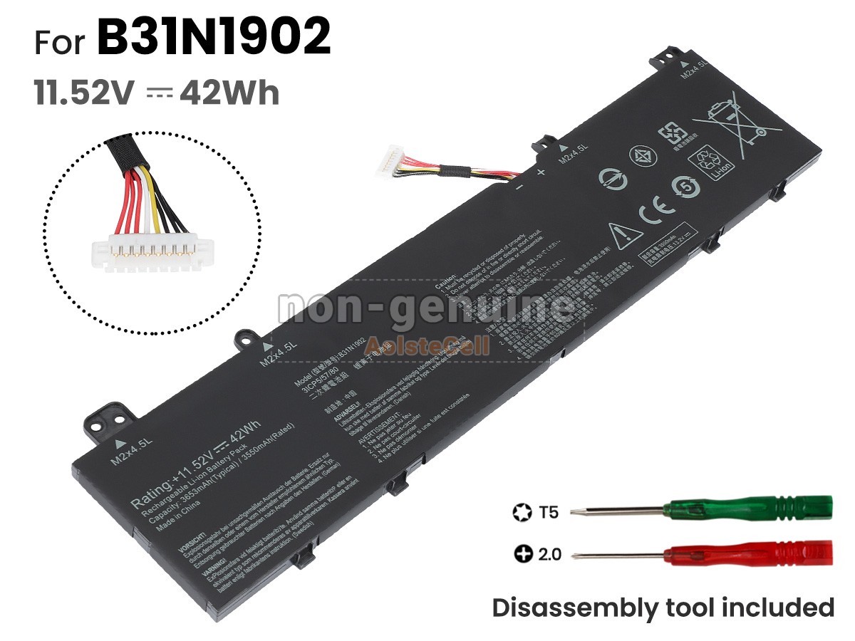 B31N1902