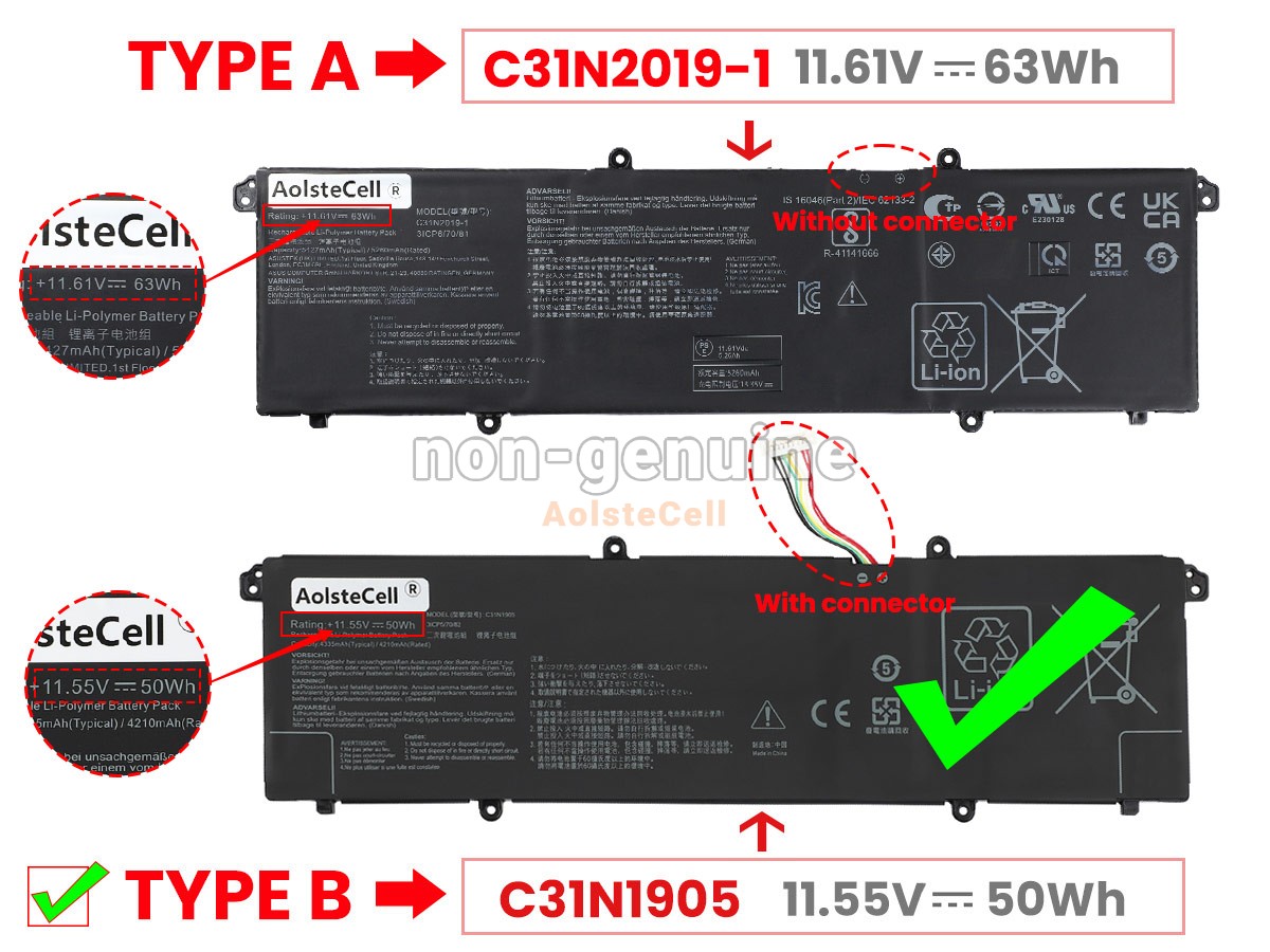 C31N1905