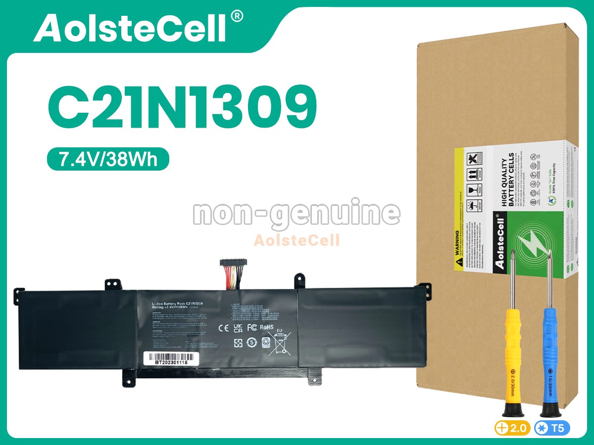 C21N1309
