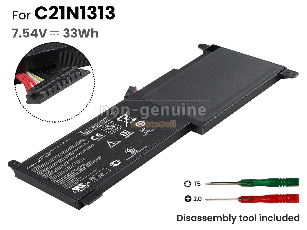C21N1313