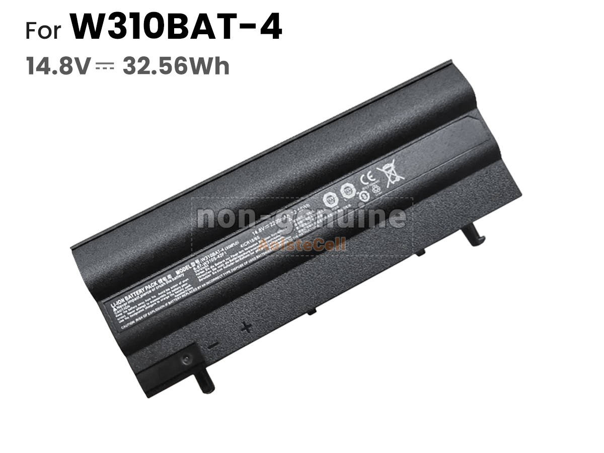 W310BAT-4