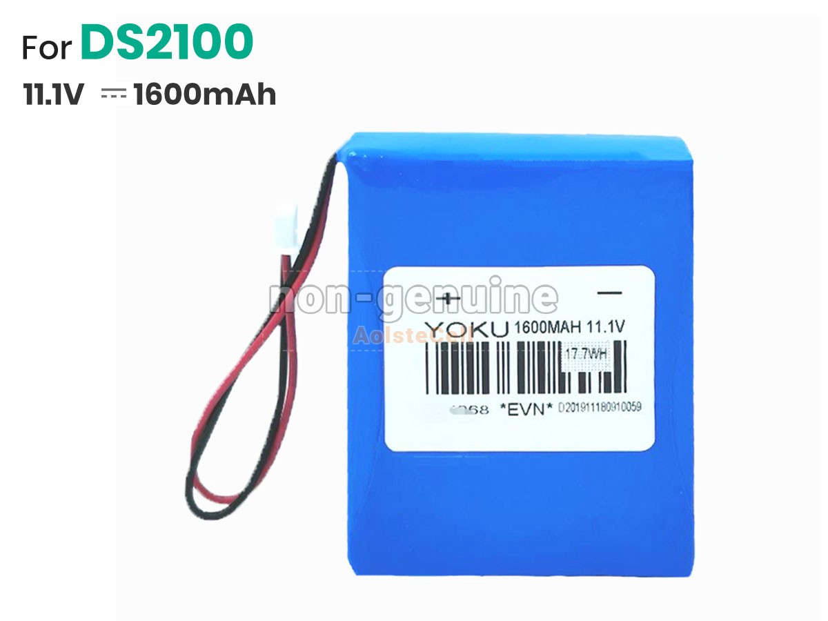 DS2100
