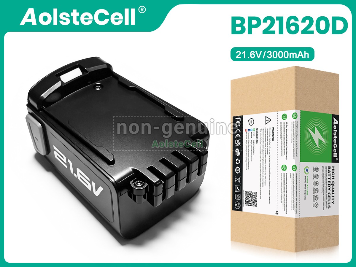 BP21620D-T1