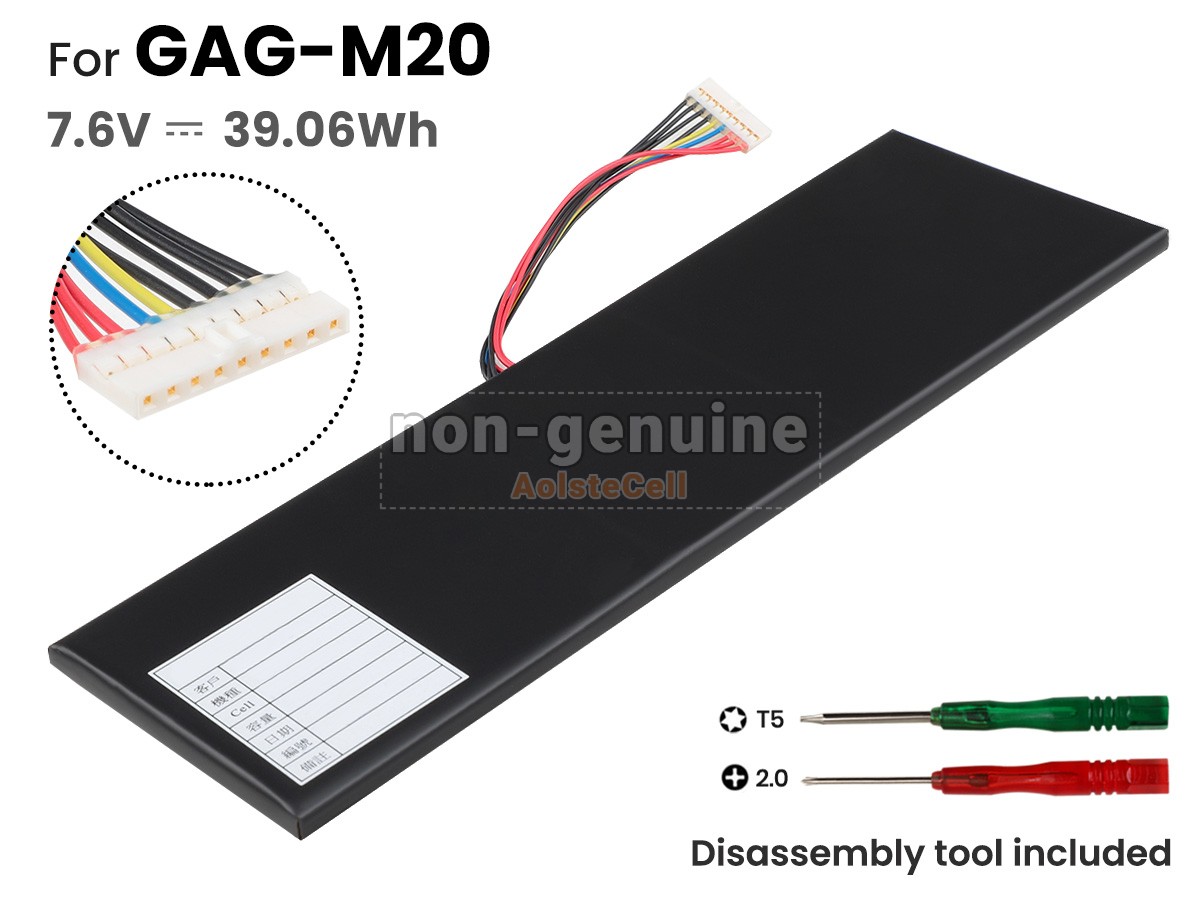 GAG-M20