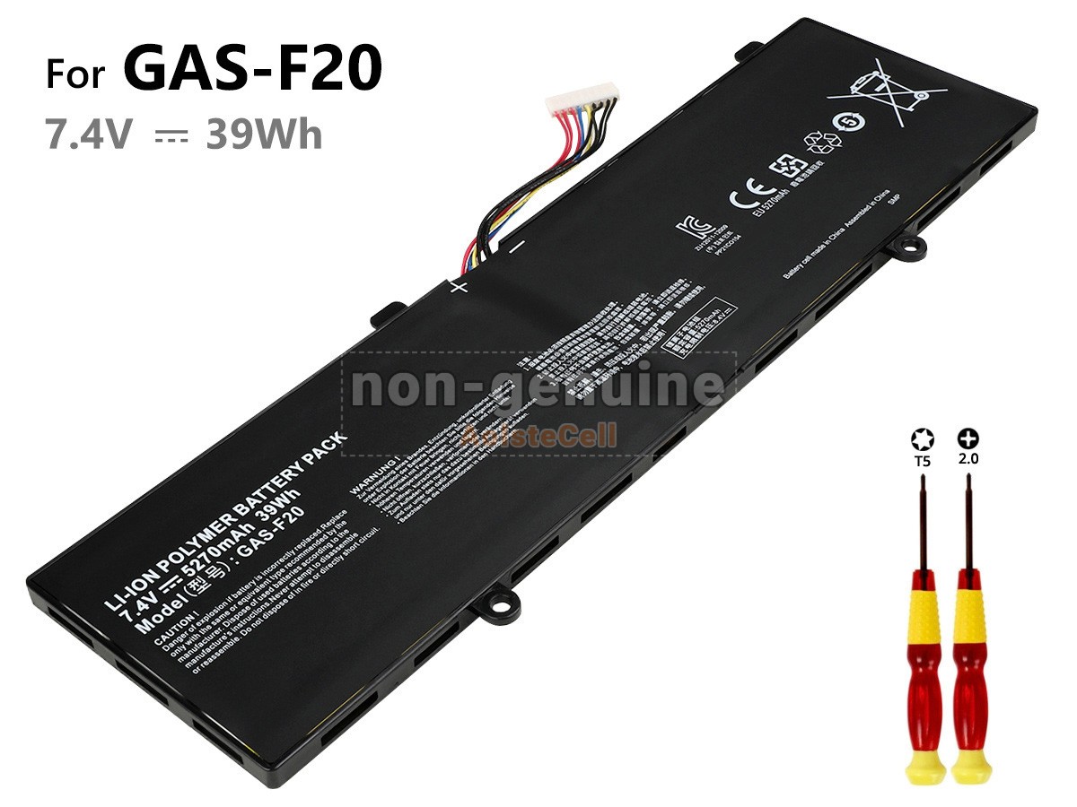 GAS-F20