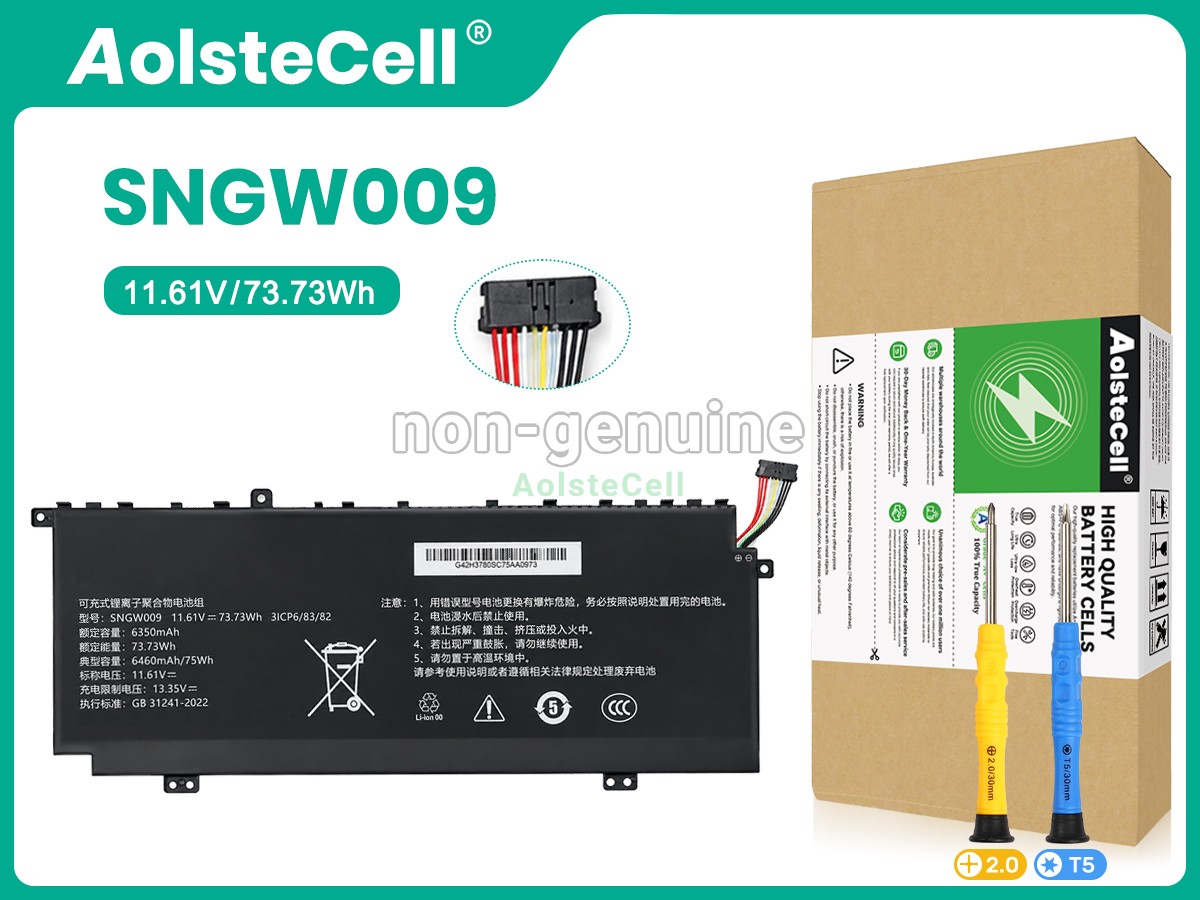 SNGW009