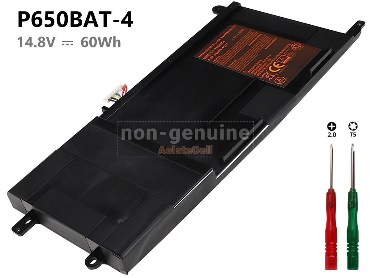 P650BAT-4