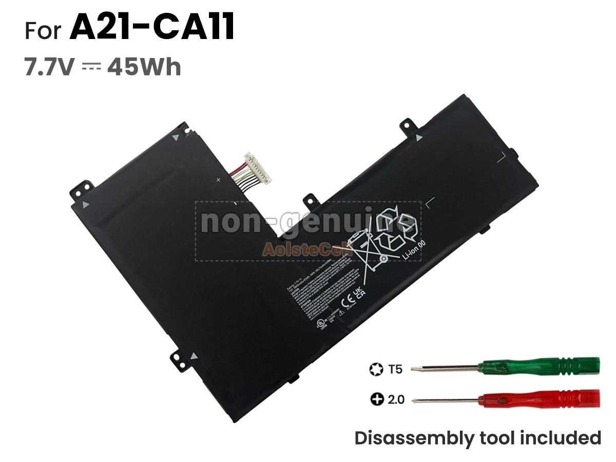 A21-CA11