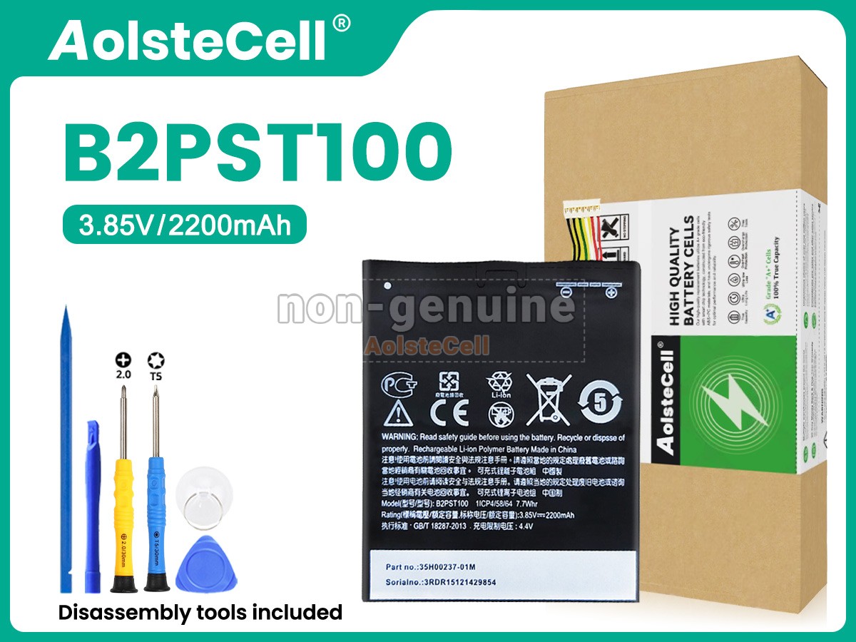 B2PST100