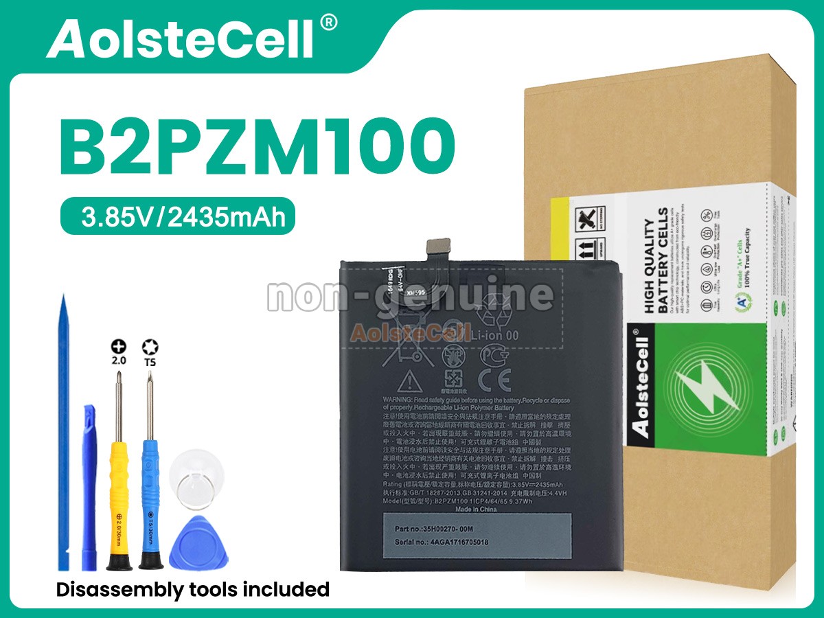B2PZM100