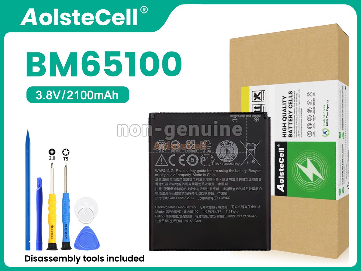 BM65100