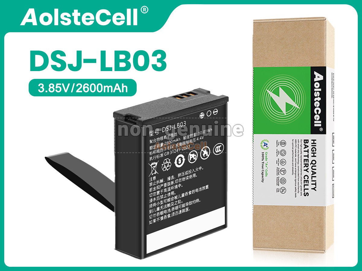 DSJ-LB03
