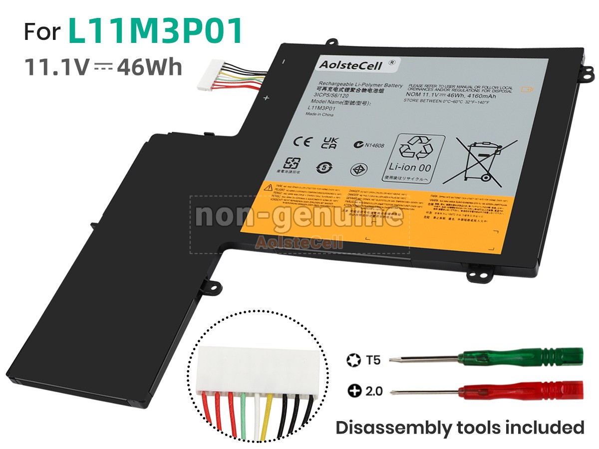 L11M3P01