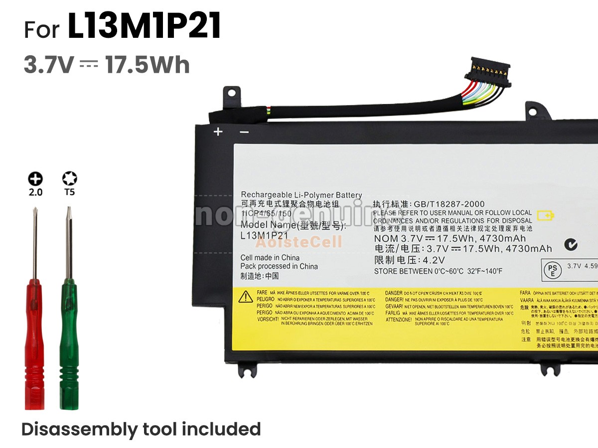 L13M1P21