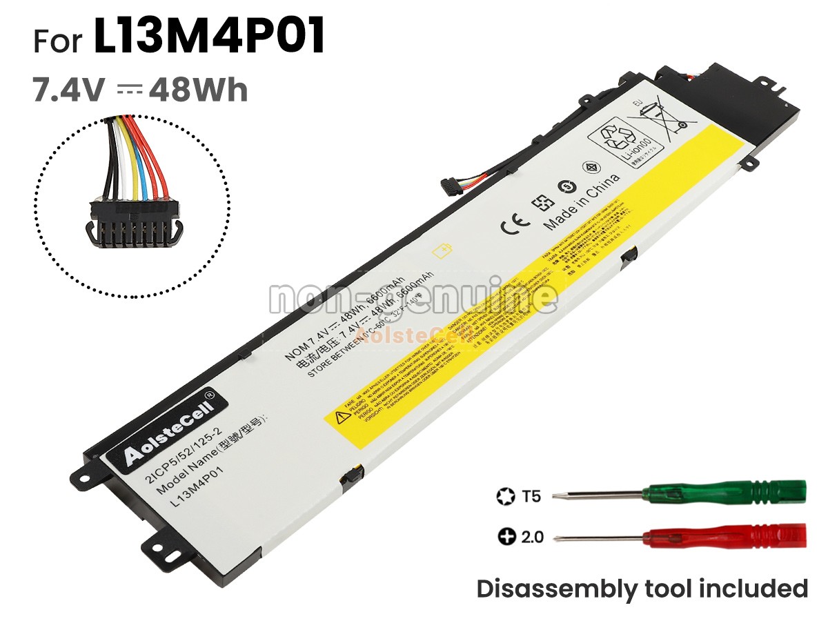 L13M4P01