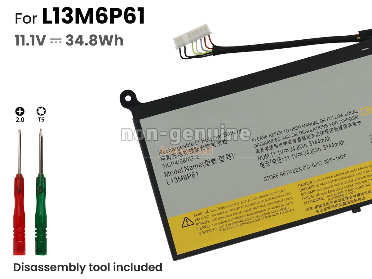 L13M6P61