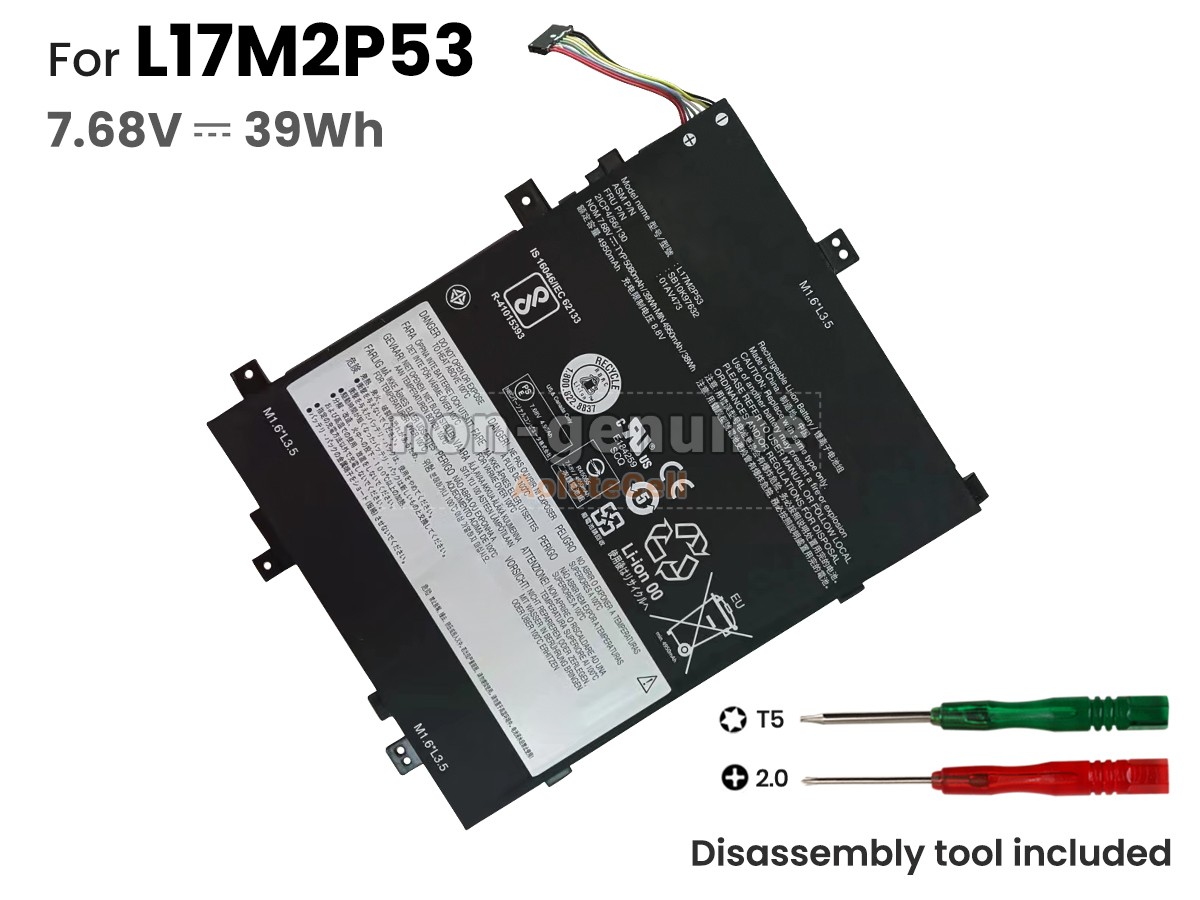 L17M2P53