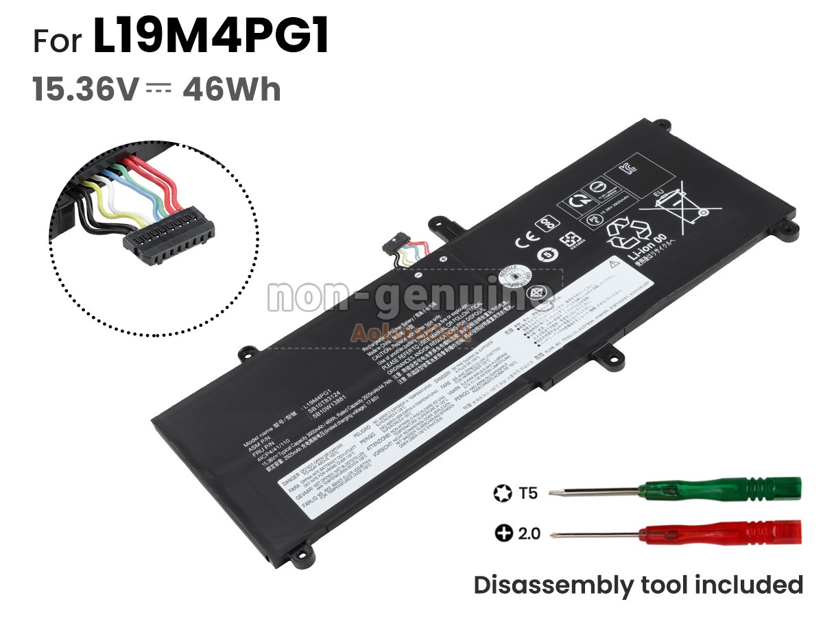 L19M4PG1