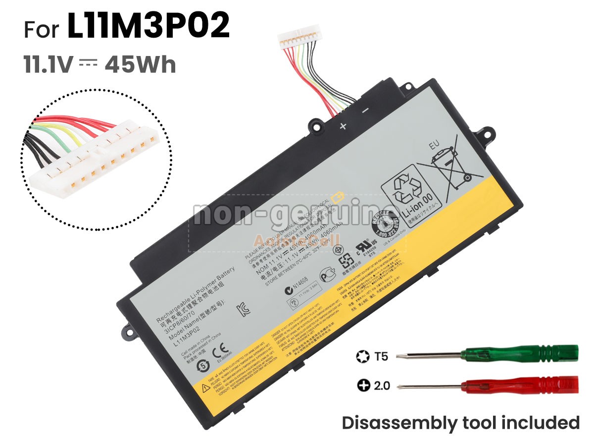 L11M3P02