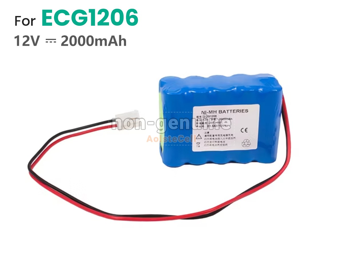 ECG1206