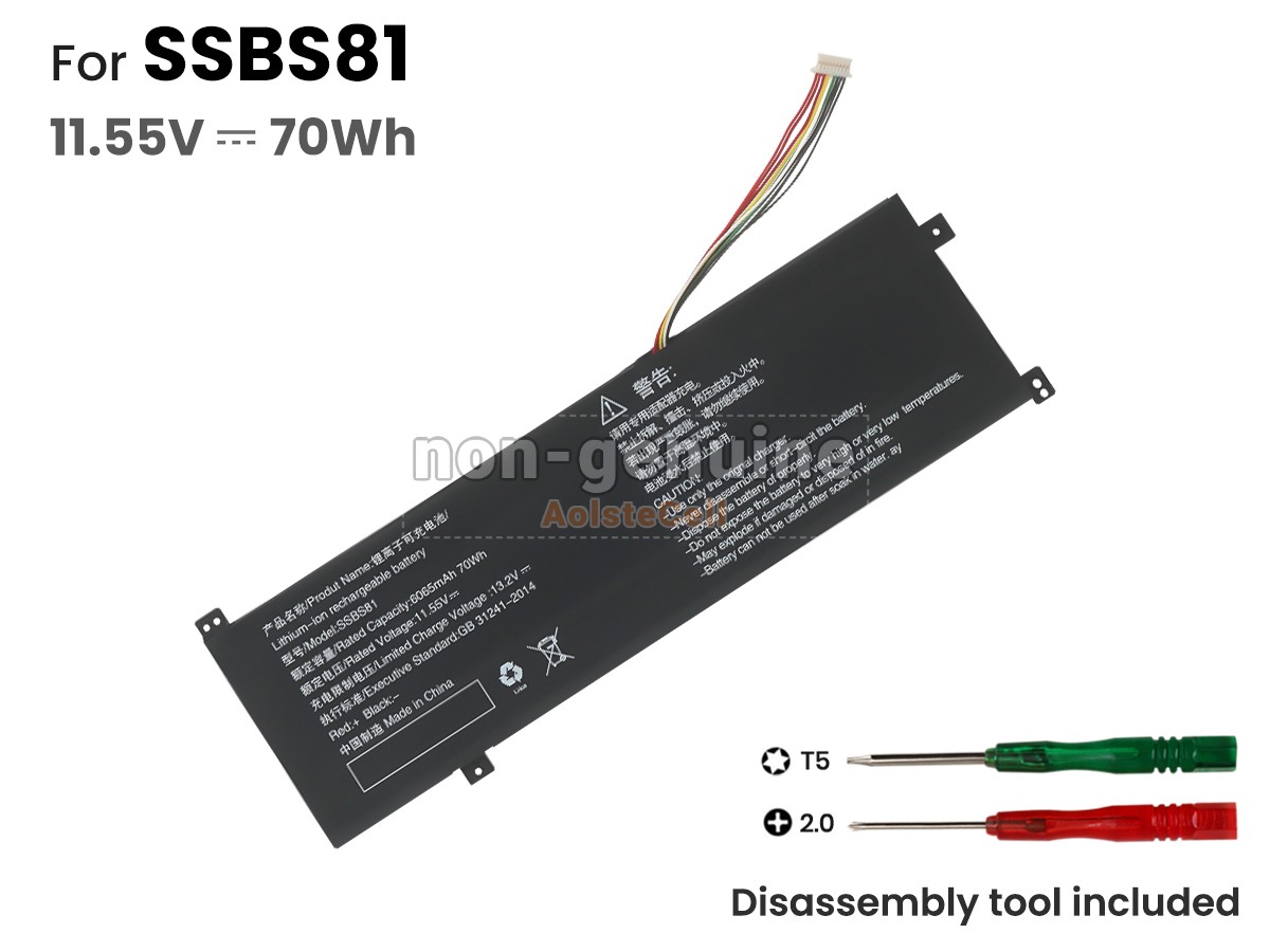 SSBS81