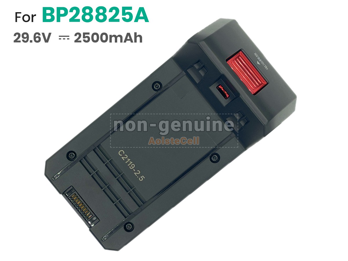 BP28825A