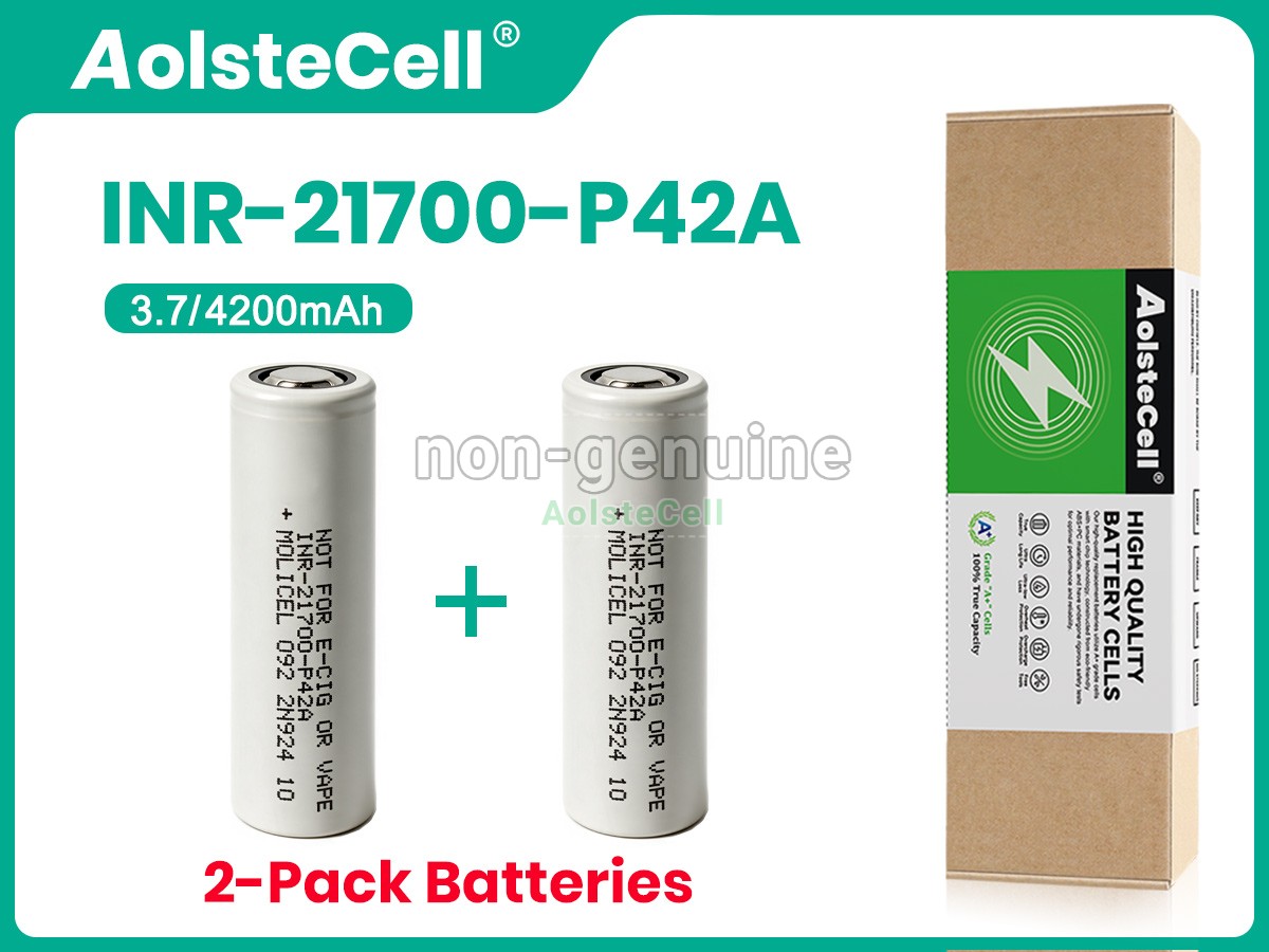 INR-21700-P42A-2PCS