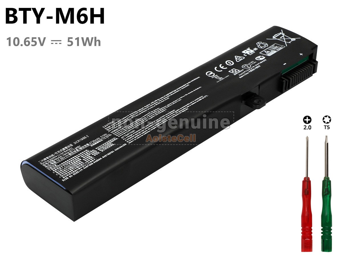 BTY-M6H