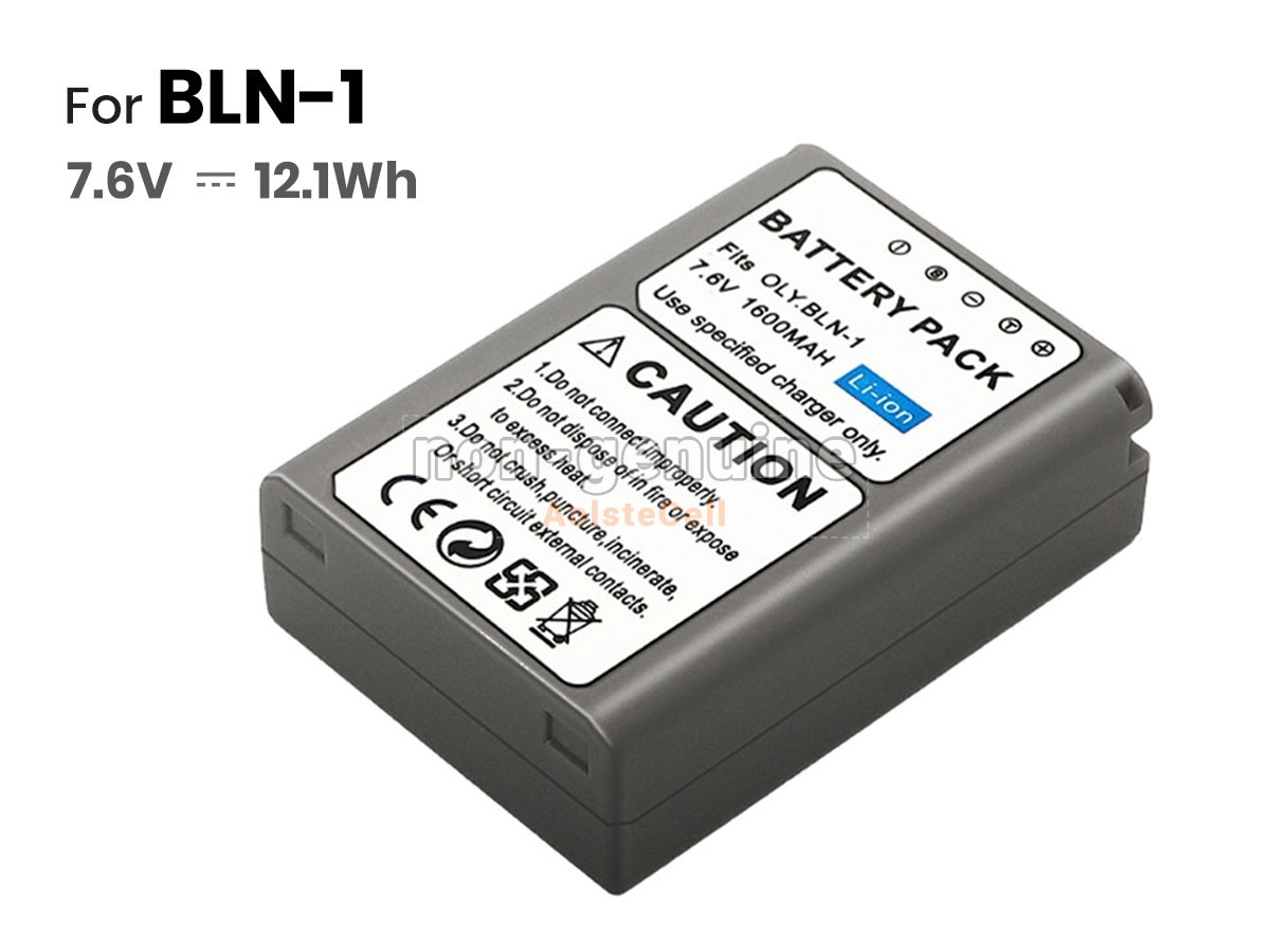 BLN-1