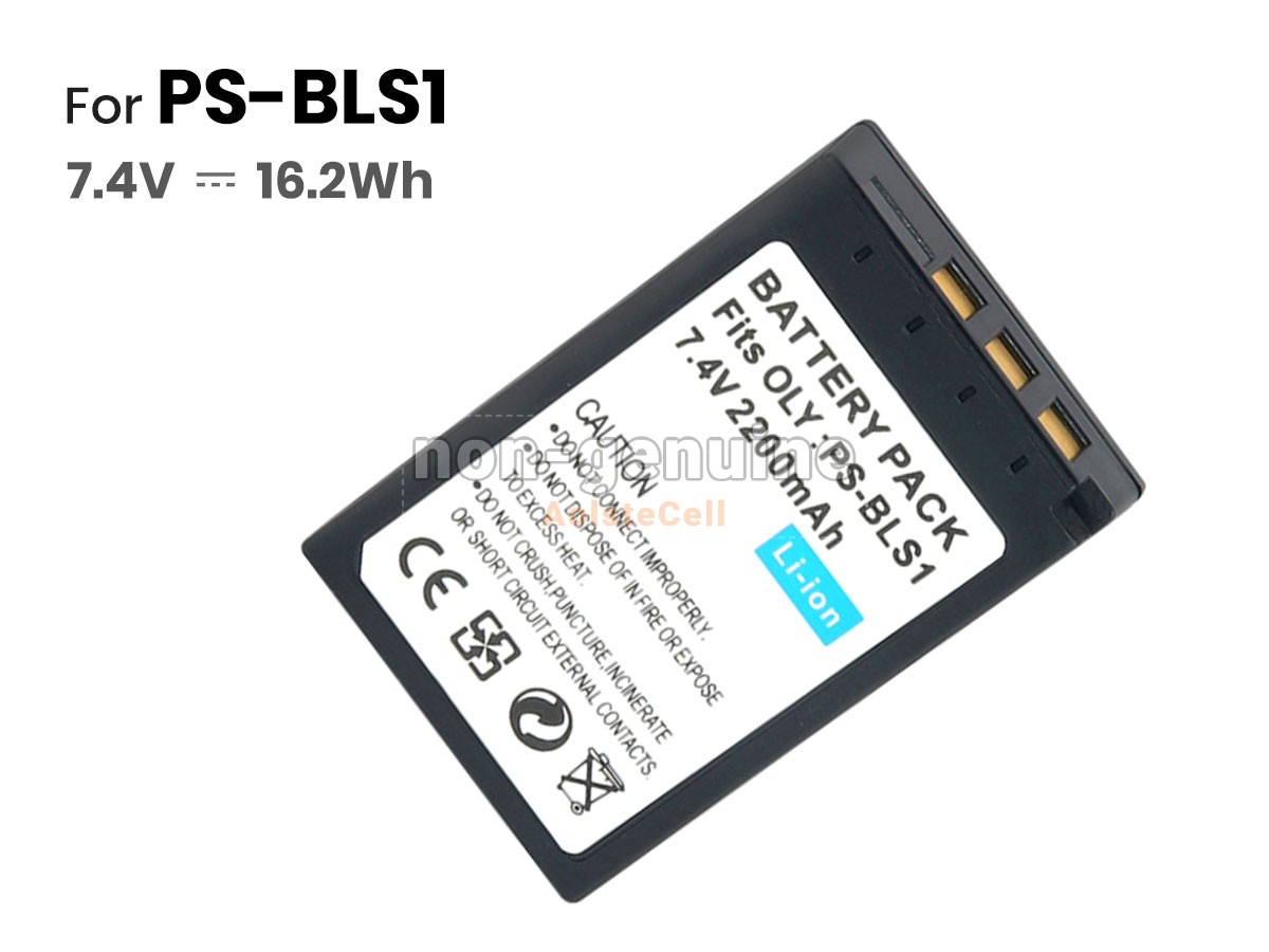 PS-BLS1