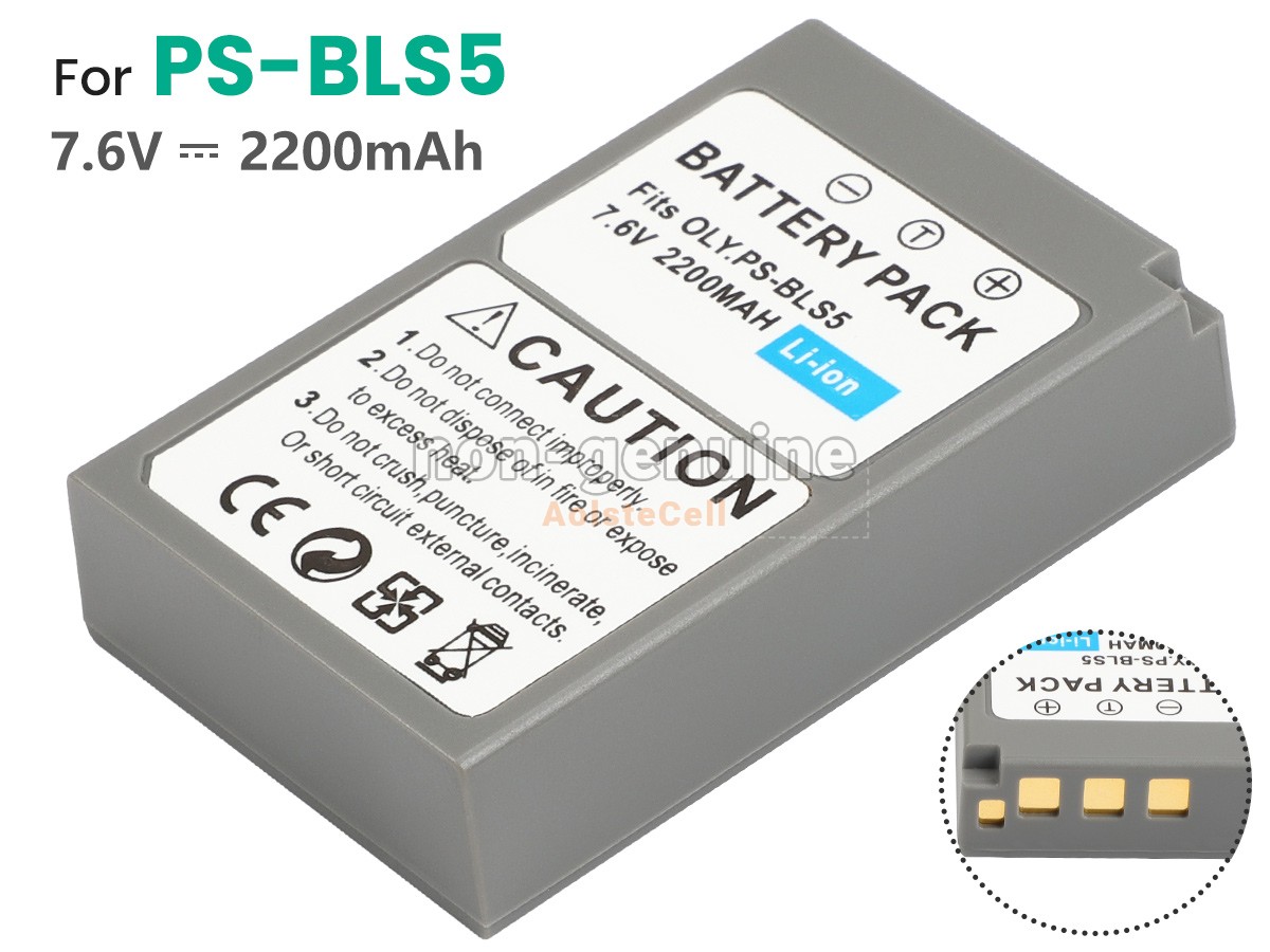 PS-BLS5