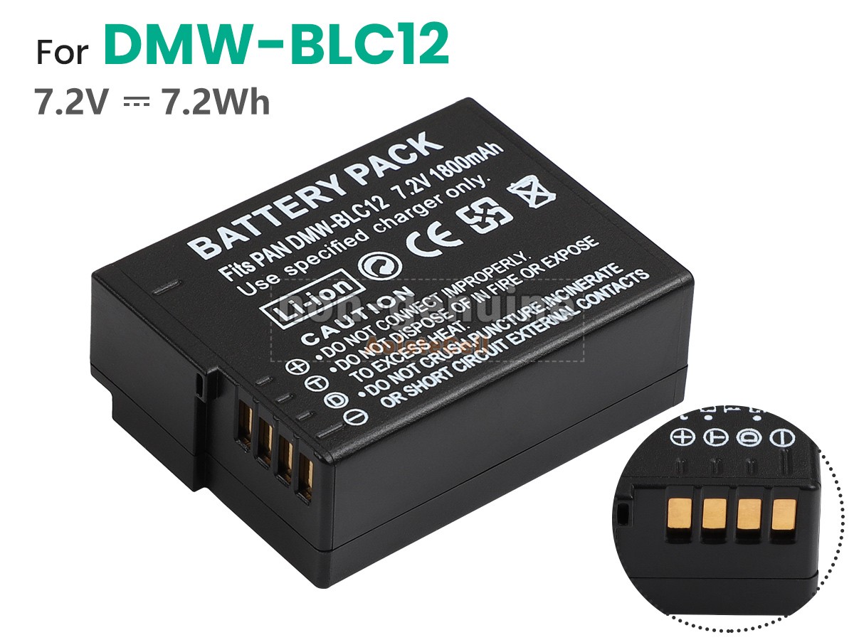 DMW-BLC12