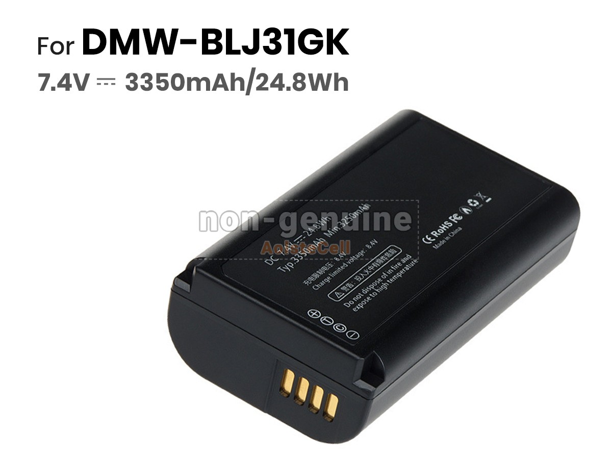 DMW-BLJ31GK