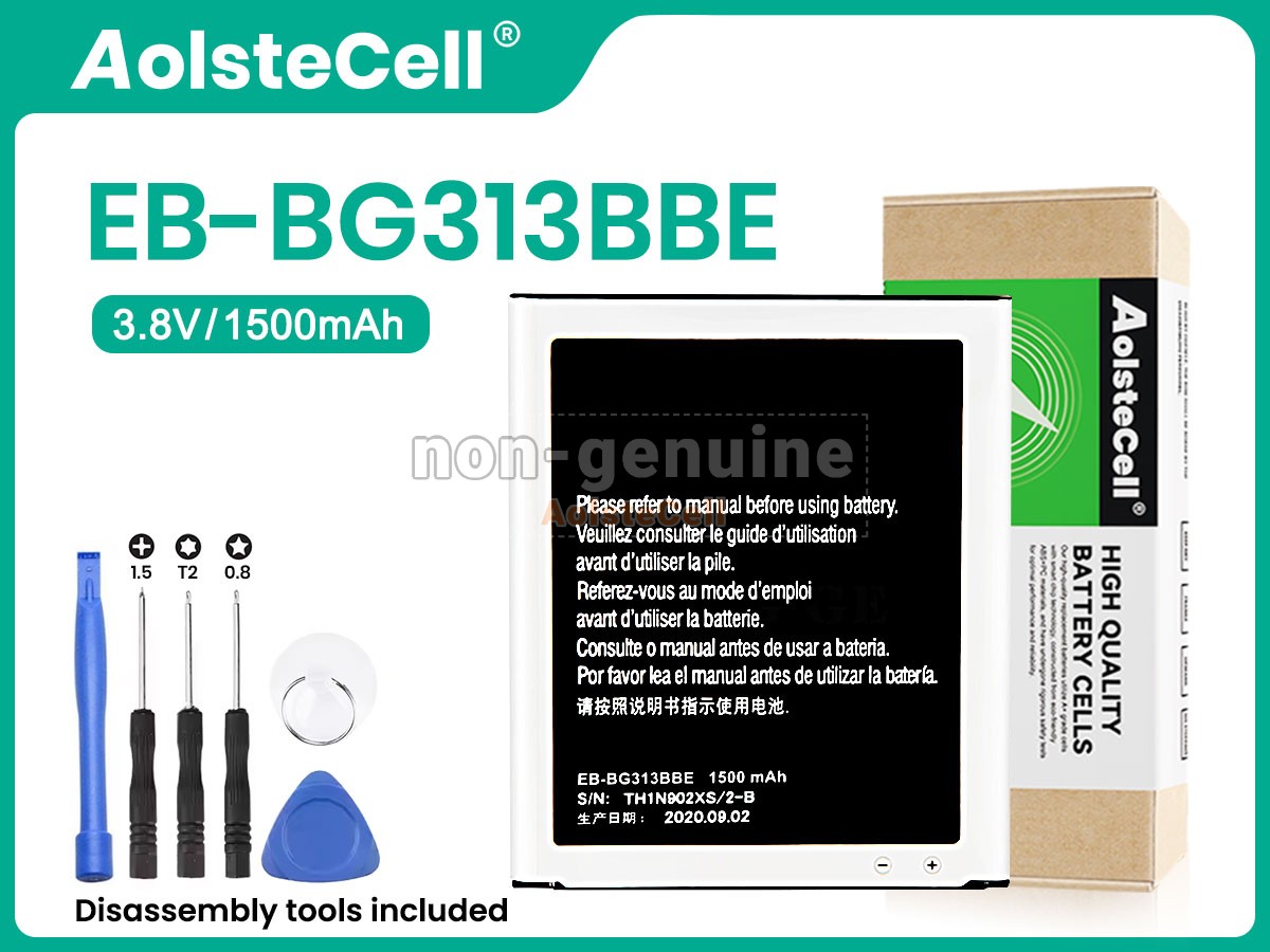 EB-BG313BBE
