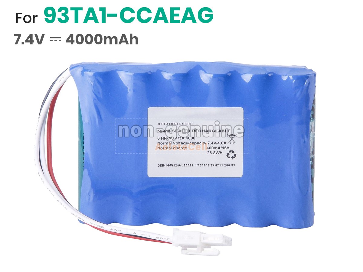 93TA1-CCAEAG