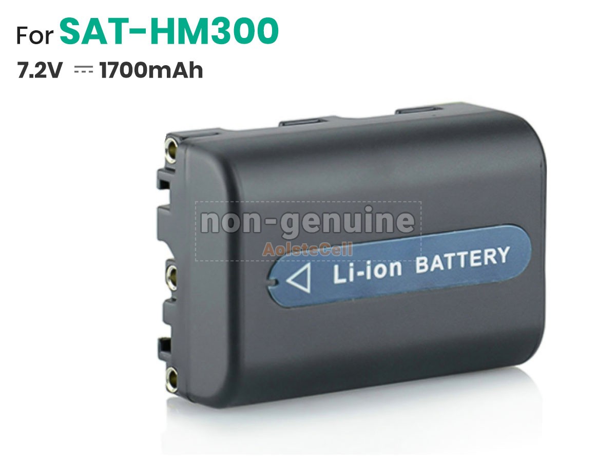 SAT-HM300