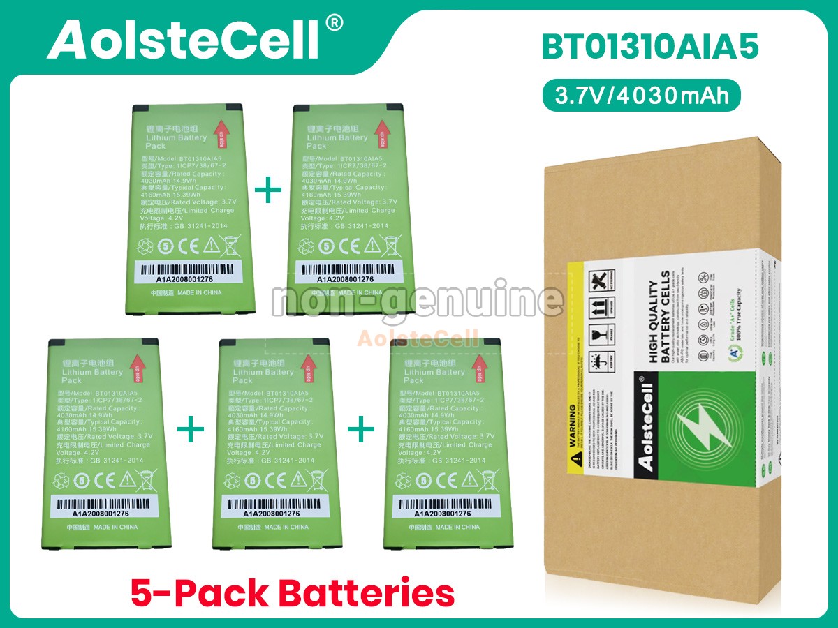 BT01310AIA5