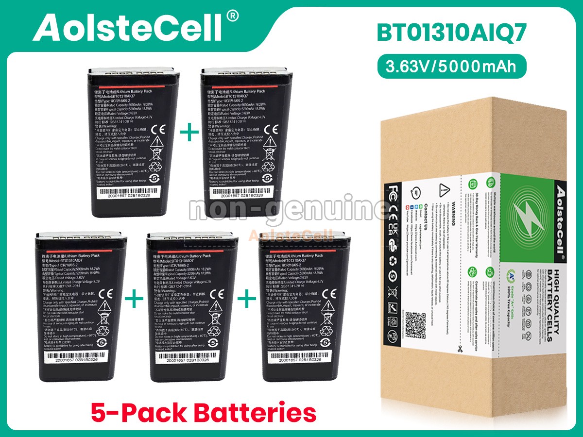 BT01310AIQ7