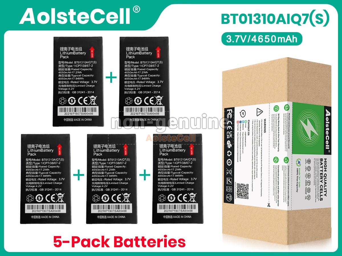 BT01310AIQ7_S