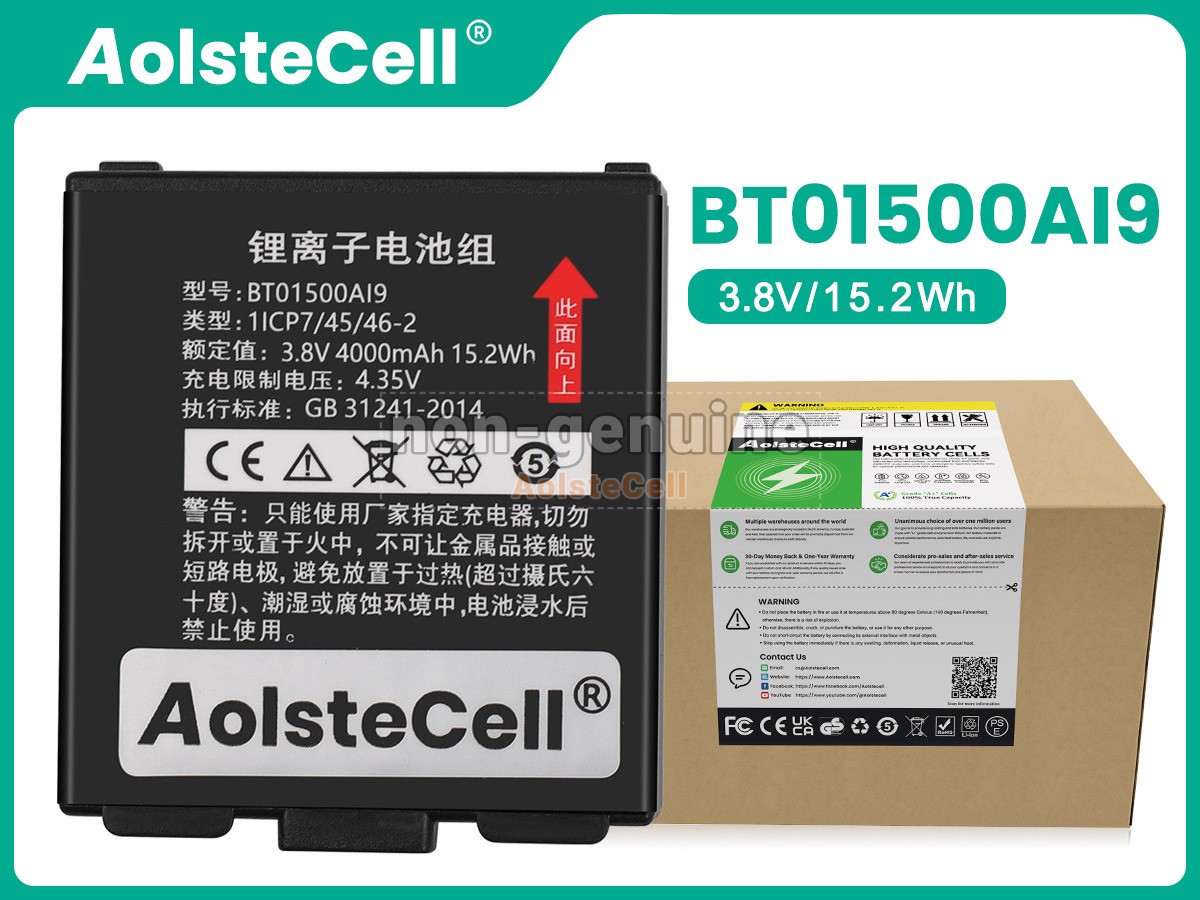 BT01500A19