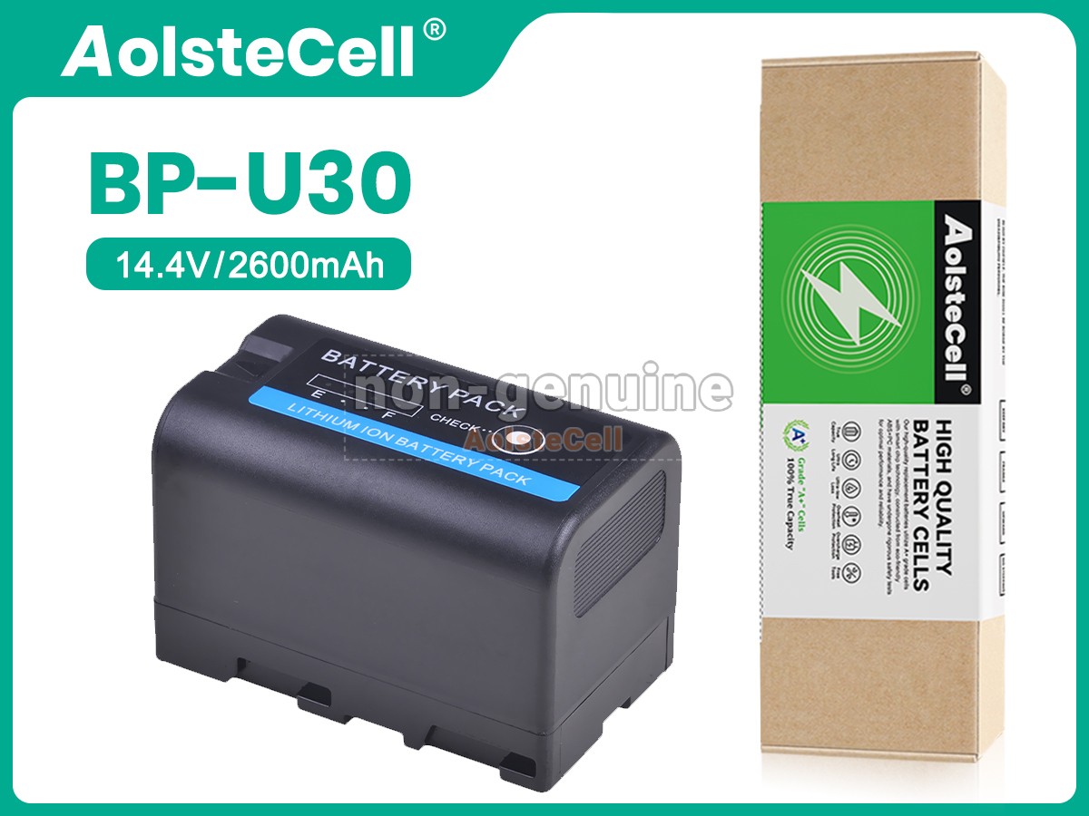 BP-U30